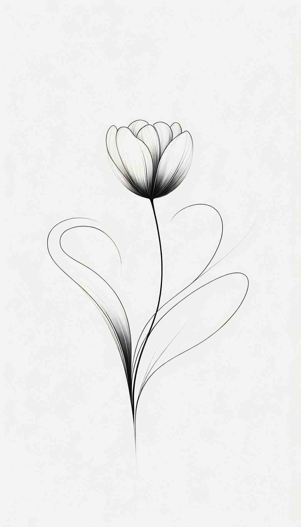 Graceful Tulip - Wall Art Print